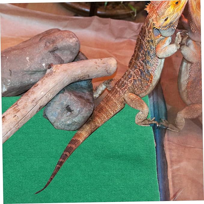 BESPORTBLE Reptile Cushion for Tortoises Lizards Spiders Durable Pet Sleeping Pad for Climbing Warmth Winter Reptile Mat for Terrarium Use
