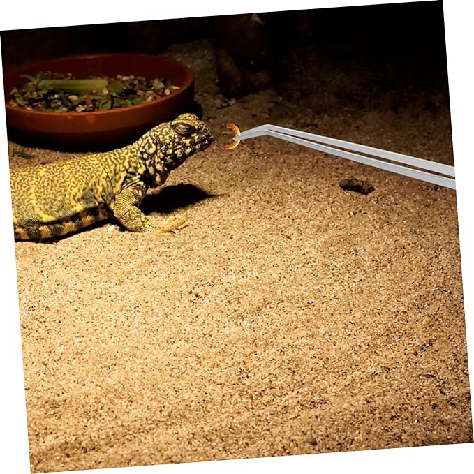 2pcs Extra Reptile Feeding Tongs Straight Curved Tips for Precise Handling of Turtles Bearded Dragons Other Crawling Pets Ergonomic Design for Easy Use Aquariums Terrariums