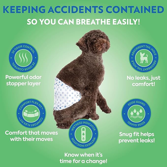 Out! PetCare Disposable Dog Diapers Male,Puppy Belly Band,Potty Training,Doggie Diapers,Belly Bands for Male Dogs,Puppy Training,Incontinence,(XS/S,32ct),(Pack of 2)