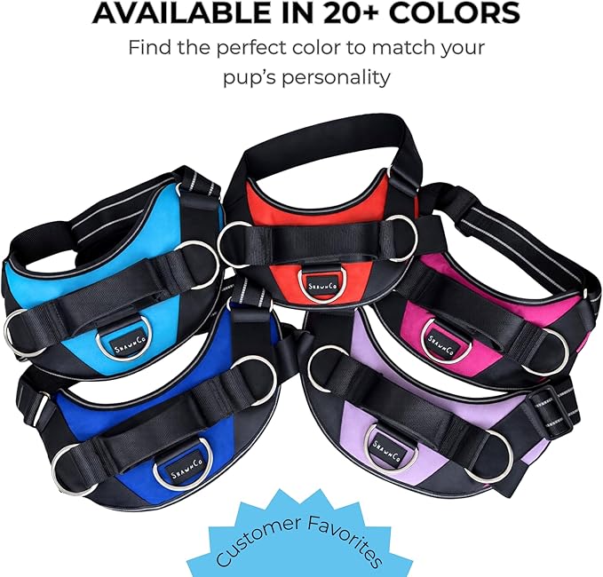 ShawnCo Essential Dog Harness, No-Pull Pet Vest with 3 Leash Clips, No Choke, Reflective, Adjustable and Padded, for Easy Walking and Training for Small, Medium and Large Dogs (Moonglow, L)