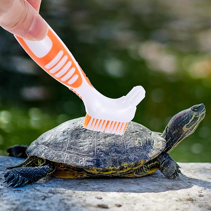 SUPVOX Turtle Shell Brush Double-Sided Dirt Remover for Aquatic and Land Turtles, Orange Mini Brush for Shell Mud and Removal, Household Reptile Health Care Tool