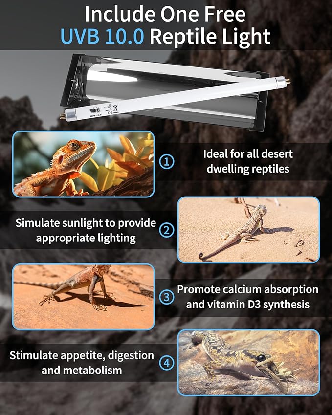 LUCKY HERP T5 Reptile Light Fixture Combo Kit 8W (New Upgrade), 10.0 UVB Light for Reptiles and Amphibians, UVA UVB Basking Light Desert Lamp for Lizard, Bearded Dragon, Tortoise 12inch