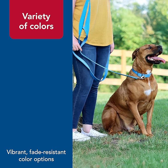Coastal Pet Double-Ply Dog Leash - Bolt Snap Attachment to Collars and Harnesses - Nylon Dog Walking Leash for Small, Medium and Large Dogs - Teal - 1" x 6'