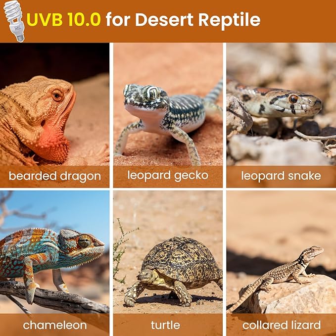 UVA UVB Reptile Light 10.0, 26W Desert UVB Compact Fluorescent Terrarium Lamp, UVB Light for Reptiles, UVB UVA Light Bulb for Reptiles Bearded Dragons Lizards Tortoises Snakes