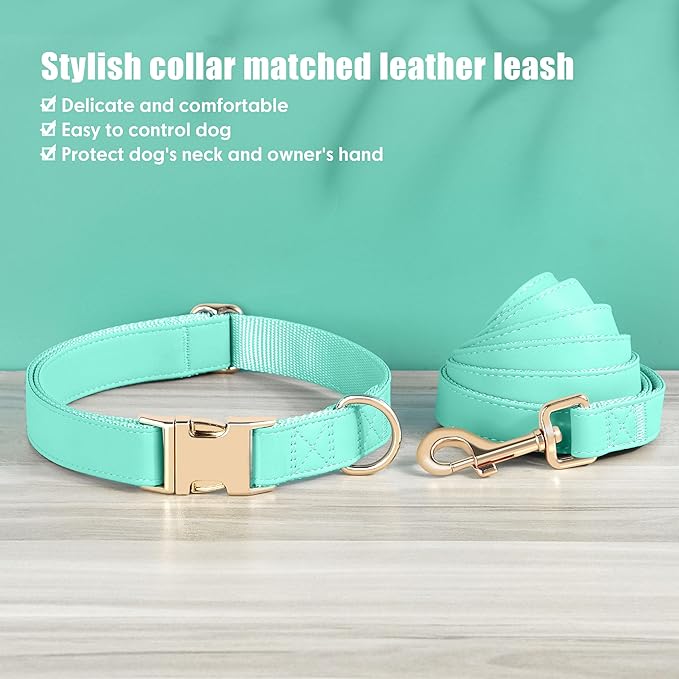 PET ARTIST Soft PU Leather Dog Collar and Leash Set, Bright & Stylish 5FT PU Leather Leash and Collar Set, Durable Pet Collars with Quick Release Metal Buckle for Medium Dogs,Mint Green,M(13-19")