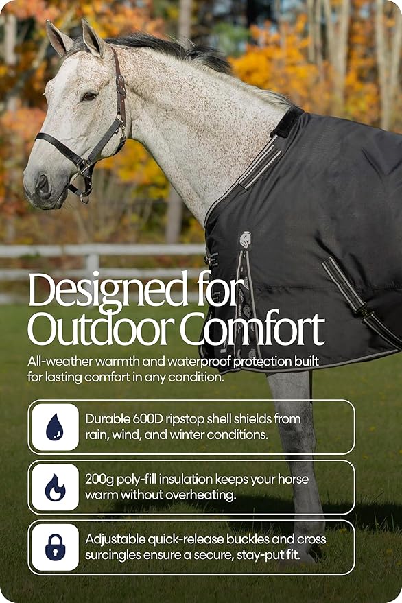 Equinavia Norse 200g Medium Weight Horse Blanket | Waterproof Winter Turnout - Black - 66 in - Black - 66 in