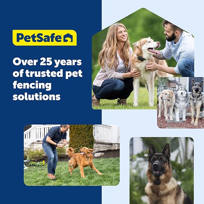 PetSafe Wireless Pet Containment System Receiver Collar - Battery-Operated & Waterproof - Adjustable Receiver Collar with 5 Correction Levels - for Dogs 8lb+
