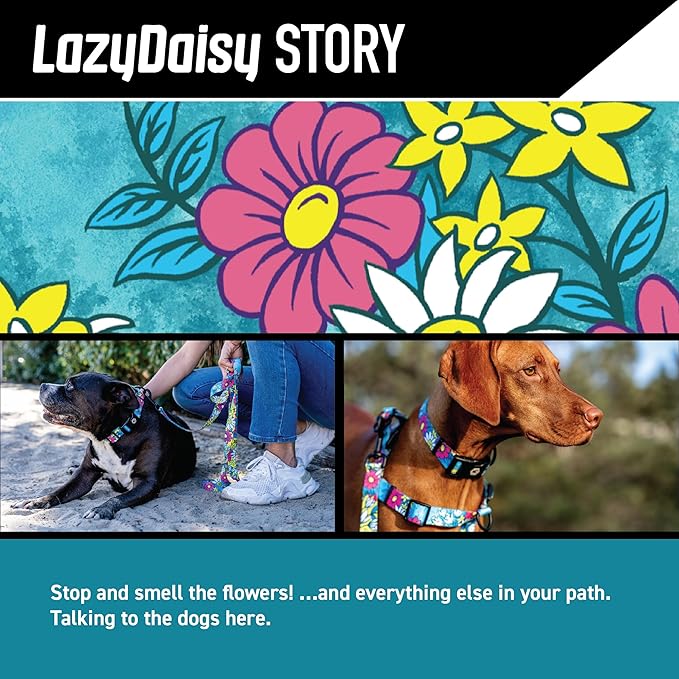 Wolfgang Heavy Duty Adjustable Dog Harness, Pull-Tested for Walking & Training, LazyDaisy Print, Large