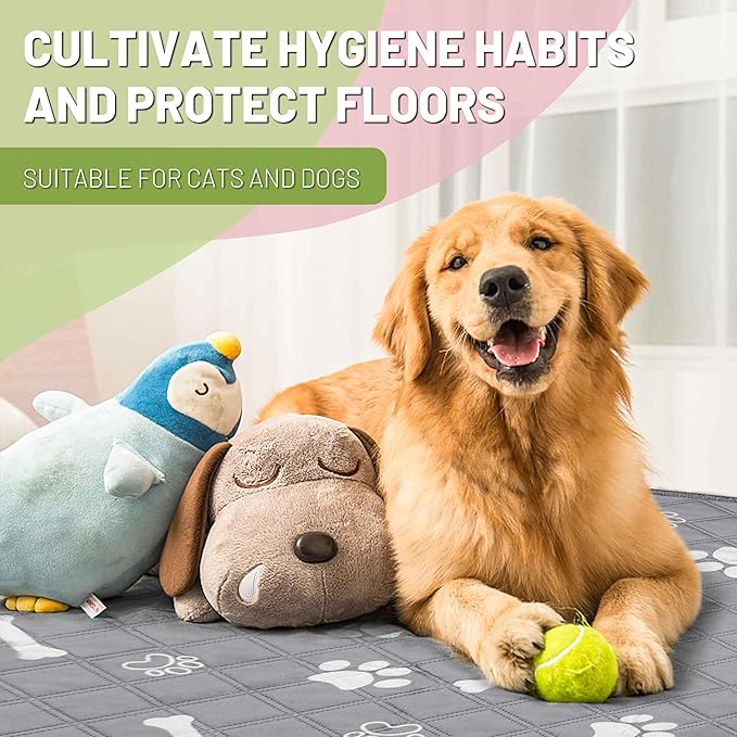 PatiencET Washable Dog Pee Pad, 48" x 65" Extra Large, Super Absorbent Reusable Waterproof Floor & Sofa Protector for Large Dogs, Whelping & Incontinence