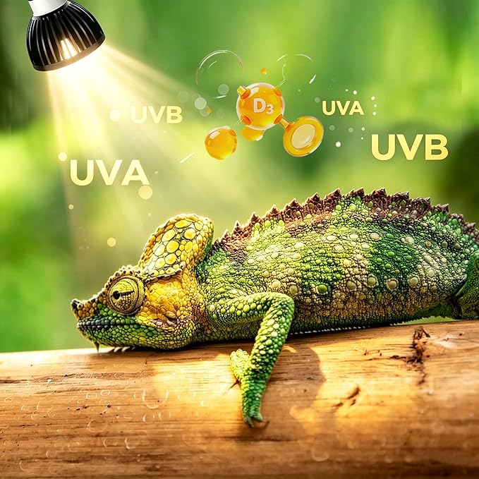 UVB Light for Reptiles UVB Bulb 5w LED Bird Lamp UVA UVB Reptile Light Bulb 5.0 UVB Light for Turtles, Lizard, Tortoise, Geckos, Chameleons 1 Pack