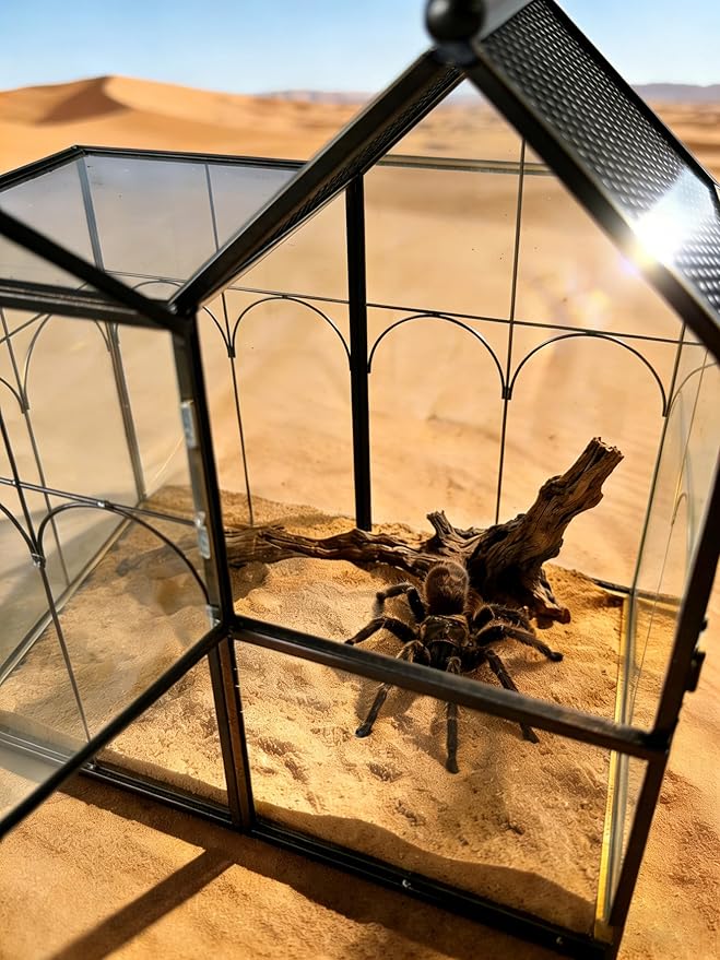 Ready-to-Use Glass Terrarium with Vents, 8.66"x4.72"x8.46" House-Shaped Habitat for Jumping Spider,Praying Mantis,Snails,or Succulent Plants - Home Garden Tabletop Decor Enclosure (Dark Gunmetal)
