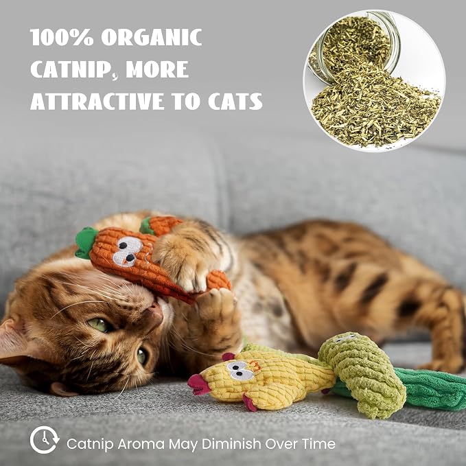 Cactus Catnip Toys, 100% Pure Organic Catnip-Filled Toys Without Cotton - Image 6