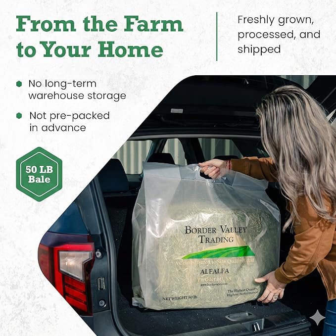 Border Valley Teff Grass Hay Bales, 50 lb - Soft Fine Stem Hay for Rabbits, Guinea Pigs, Chinchillas, Tortoises, Horses and Livestock - High Fiber Grass Bales, Farm-to-Home Freshness