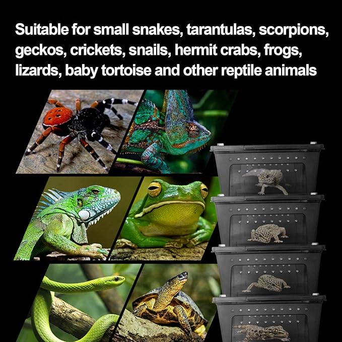 kathson Reptile Snake Feeding Box Breeding Hatching Container Lizard Tarantula Habitat Portable Transparent Plastic Mini Pet Houses for Spider Scorpion Gecko (White)