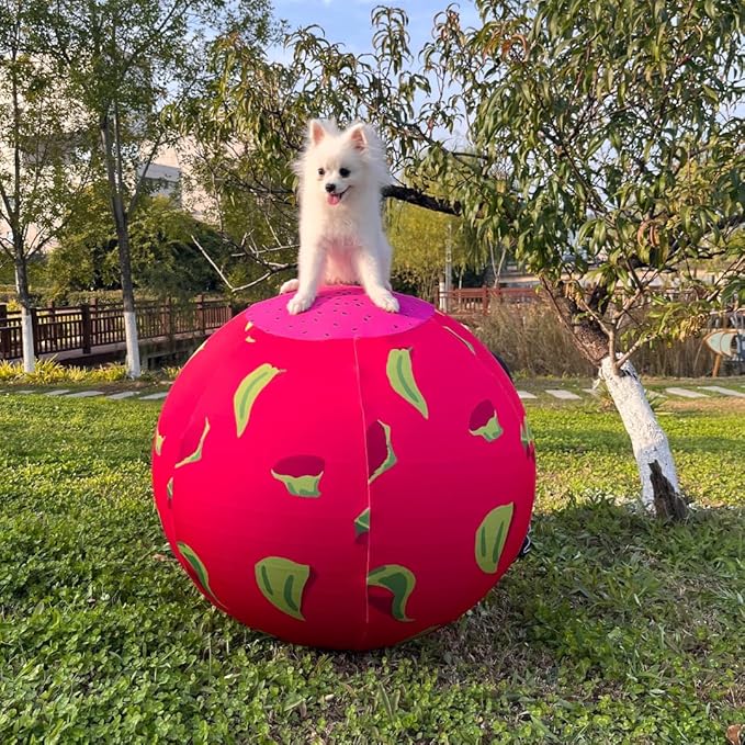 40 Inch Horse Ball Cover, Ball Cover for Horses,High-Strength Fabric,Pitaya Pattern