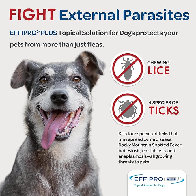 EFFIPRO PLUS Topical Solution for Dogs - Waterproof Dog Flea and Tick Treatment for Medium Dogs (23-44.9lbs) 3 Doses by Virbac