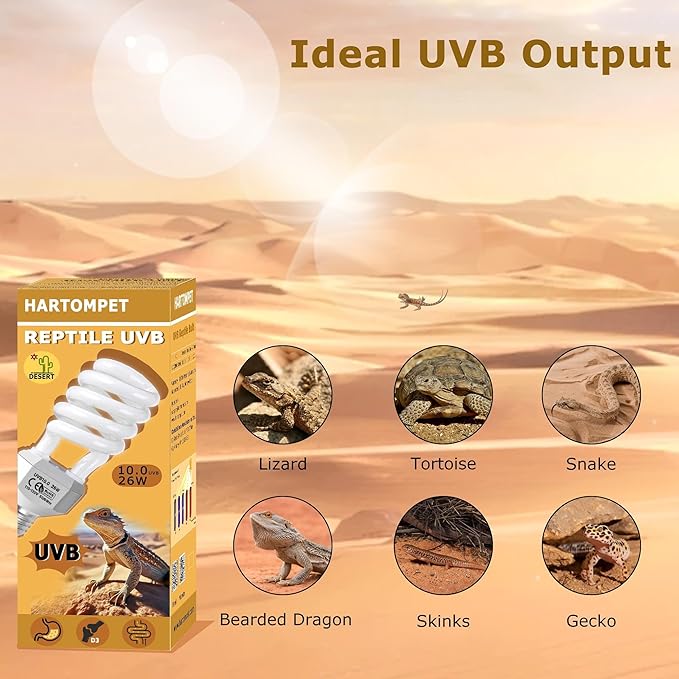 HARTOMPET UVB 10.0 Reptile Bulb 13W, Compact Fluorescent Coil Lamp for Desert Terrariums, High-Output Light for Bearded Dragons, Geckos & Tortoises