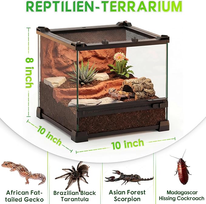10"x10"x8" Mini Reptile Glass Terrarium, Front-Opening Vivarium with Escape-Proof Lock & Feeding Door, for Reptiles & Inverts, Like Fat-Tailed Geckos, Tarantulas, Scorpions & Bettles