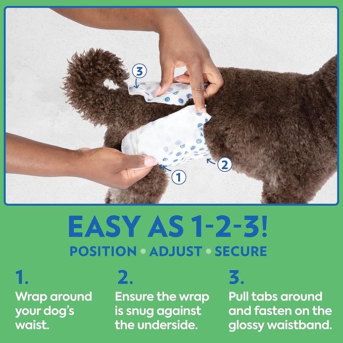 Out! PetCare Disposable Male Dog Wraps, Puppy Pee Wraps, Belly Bands for Dogs, Leak Proof, Wetness Indicator, Puppy and Doggie Diaper for Peeing, Medium/Large, 32 Count