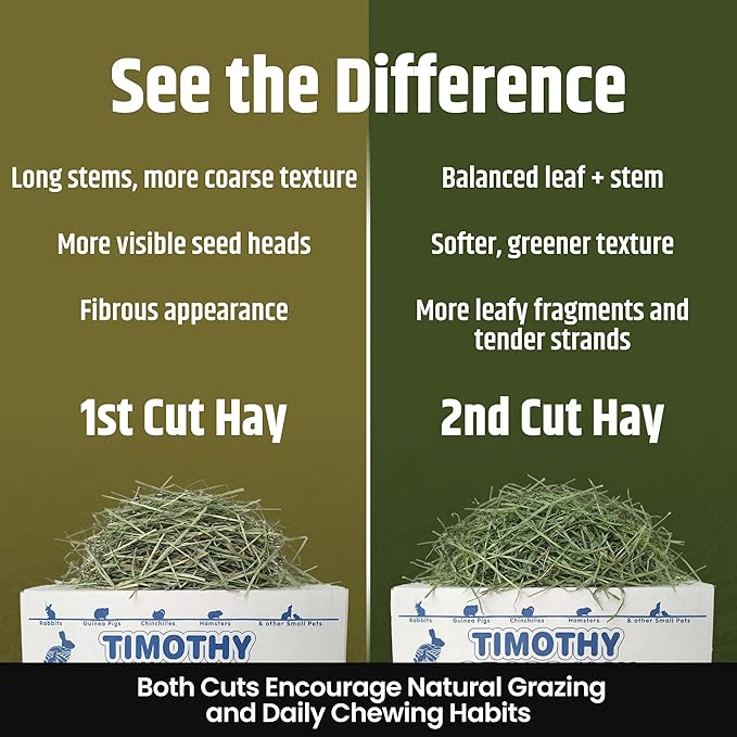 High Desert 2nd Cutting Timothy Hay for Rabbits, Guinea Pigs, Chinchillas and Small Pets, Soft Leafy for Daily Feeding and Digestive Health, Natural Rabbit Food and Guinea Pig Hay for Hay, 16 Lb Box