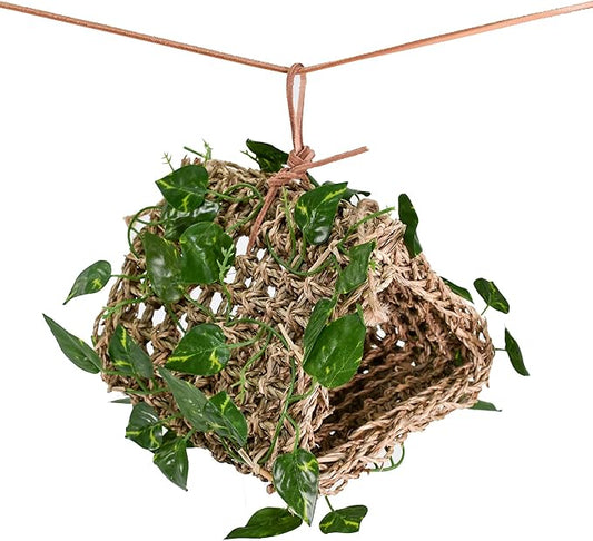 Lizard Lounger Penn-Plax Reptology for Bearded Dragons, Iguanas, and Other Reptiles - Easy to Hang (Hanging Hideout), Seagrass (REP708)