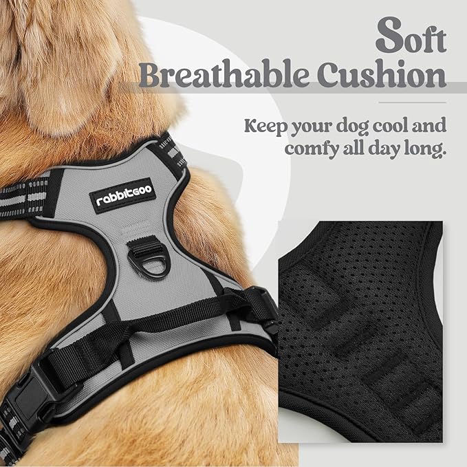 rabbitgoo Dog Harness No Pull with 2 Leash Clips, Adjustable Soft Padded, Reflective Oxford No Choke Pet Vest with Easy Control Handle for Small Dogs, Grey, S
