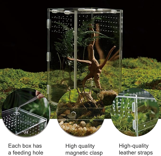 Acrylic Clear Reptile Habitat Enclosure Terrarium with Latch ，Perfect for Amphibians and Invertebrates Such as Spiders, Frogs, etc (Vertical)