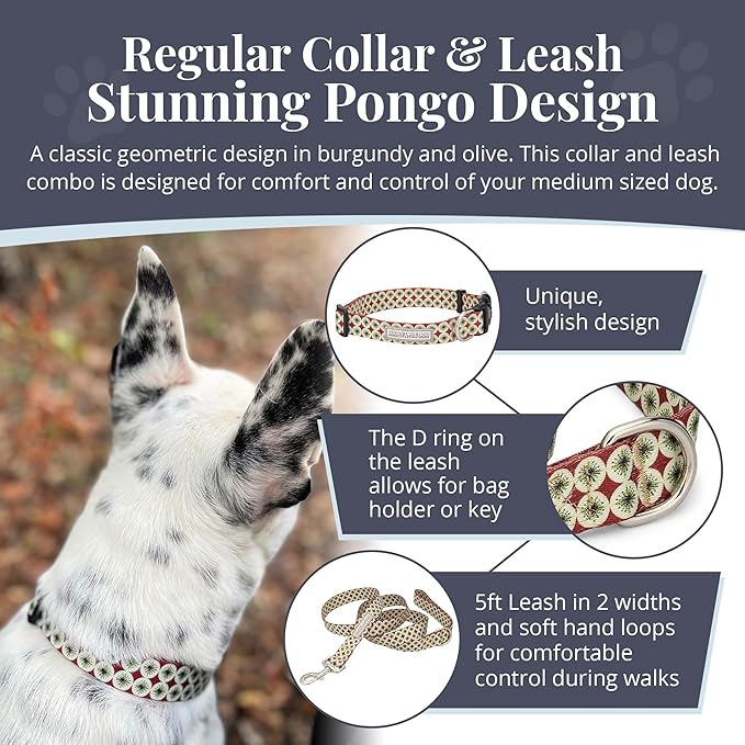 Lucky Love Dog - Easy Click Buckle Dog Collar with Leash Set Combo, Durable & Comfortable for Male & Female Dogs, Pet Collar for Small Dogs, Secure Fit - Pongo Combo, Small