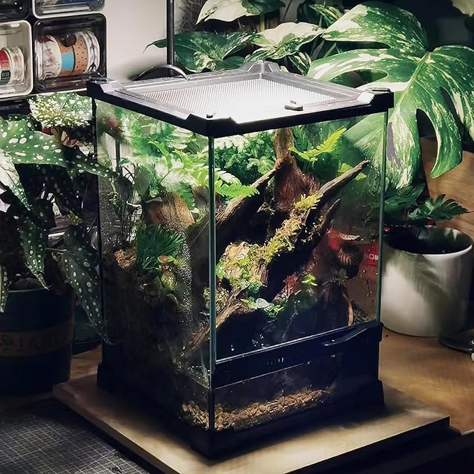Woyrise Reptile Terrarium 8"x8"x12" Mini, Front-Opening Glass Tank with Mesh Lid & Escape-Proof Locks, 360° Vertical Enclosure with Gap Sealing Strip for Small Geckos, Frogs, Tarantulas, Lizards
