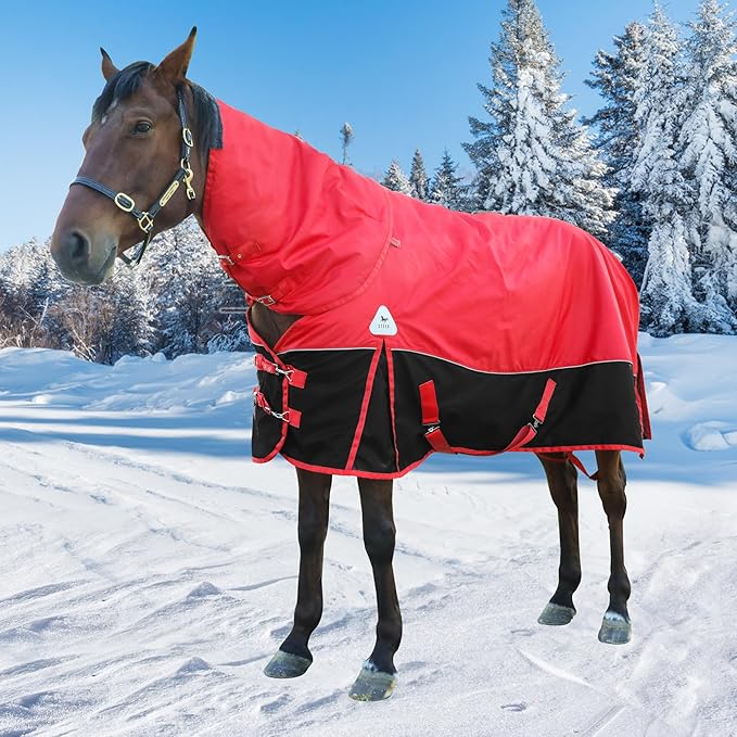 1680D All-Weather Horse Turnout Blanket with Detachable Neck Cover - 280g Medium Weight Winter Horse Blanket, Water-Resistant & Breathable for Cold Weather (72in/135cm)
