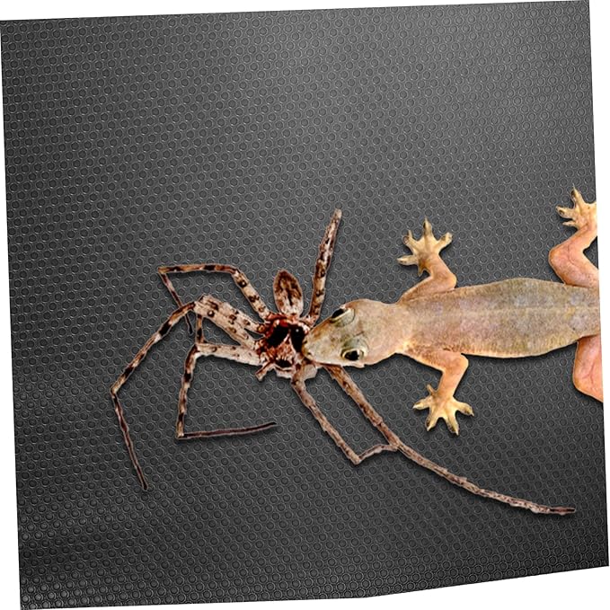 Tropical Reptile Carpet Snake Bedding for Pet Heated Pad for Reptiles Terrarium Supplies for Turtle