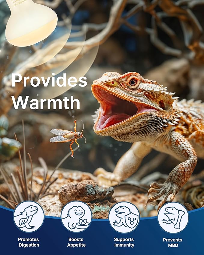 FLSNT 2 Pack Reptile Heat Lamp Bulbs, 75W Basking Light for Amphibian, Bearded Dragon, Lizard, Tortoise, Gecko