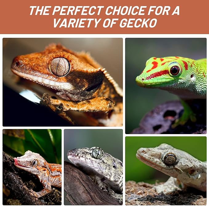 Crested Gecko Food, Fruit Mix Apricot Complete Diet Gecko Food 2oz