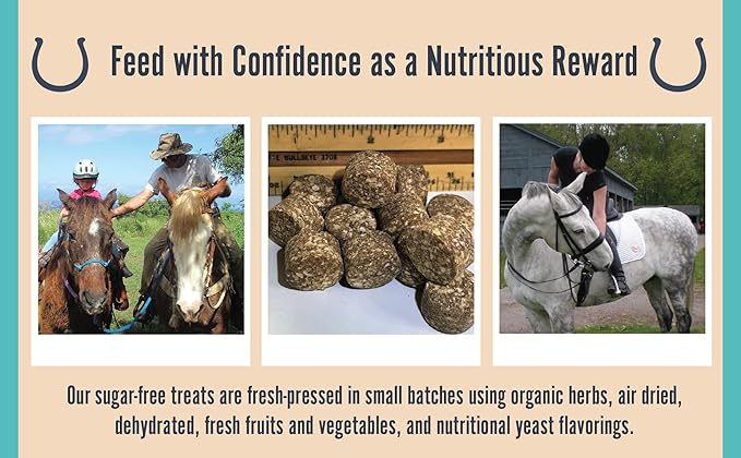 Withers & Withers Sugar-Free Horse Treats – Cinnamon with Oat Bran Horse Cookies, Goat Treats, Healthy Treats for Horses 16 Oz, 100% Compostable Bag – Humane Plant-Based Ingredients