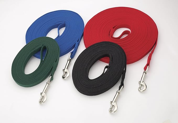 Guardian Gear Cotton Web Dog Training Lead 50'x5/8", Red