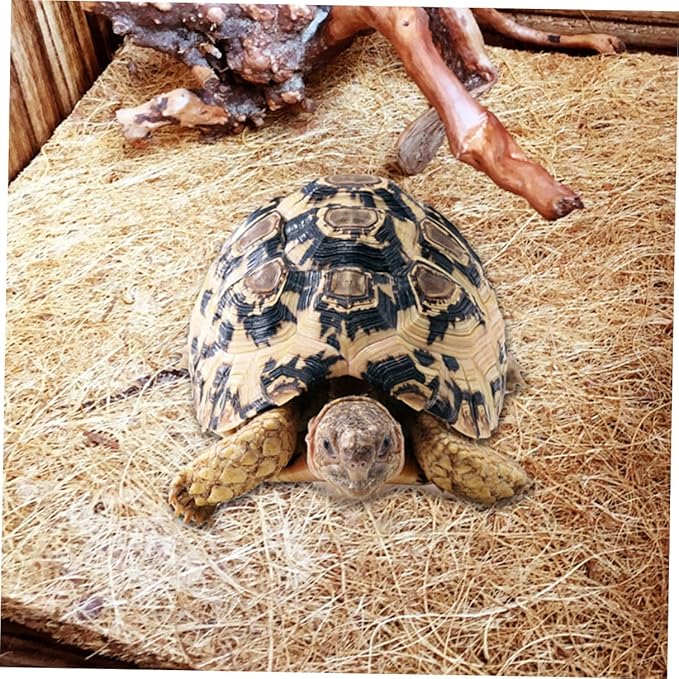 2pcs Natural Coconut Fiber Reptile Mat Breathable Tortiose Pet Bedding Liner Brown Coir Substrate for Terrarium Habitat