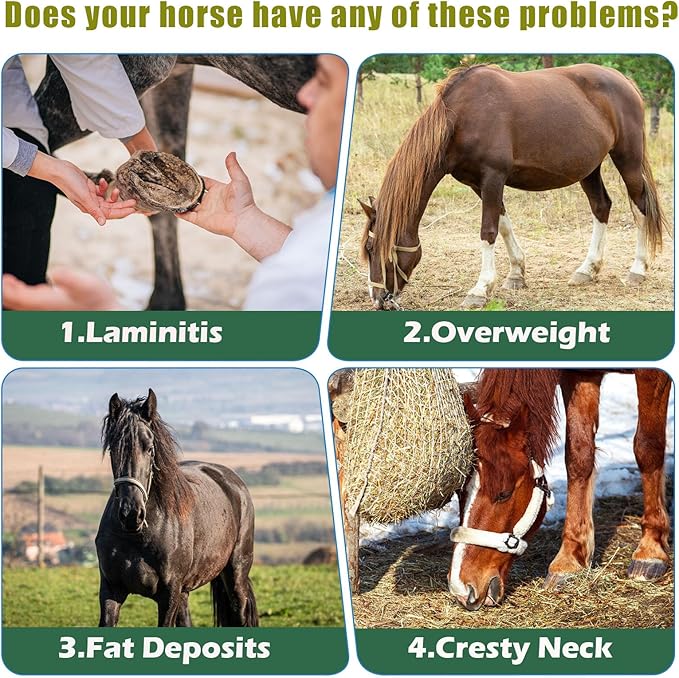 Insulin Resistance Supplement for Horses - Horse Laminitis Treatment-Natural Laminitis Herbal Powder for Sore Feet & Chronic Laminitis, 1.87lb (90-Day Supply)