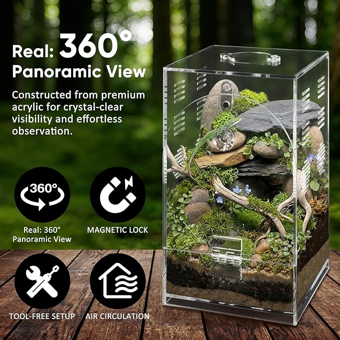 Acrylic Jumping Spiders Enclosure 360 Rotating 4.3" x 4.3" x 7.5" Praying Mantis Habitat