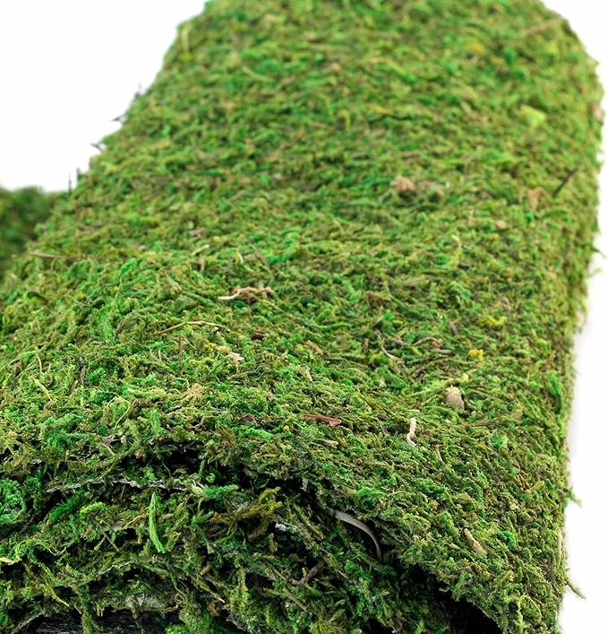 Galápagos (05094) CrashPad, Mossy Terrarium Liner, Natural, 18 x 36 in
