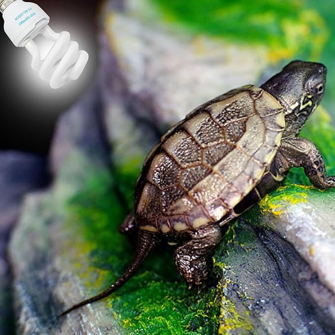 UVB Bulbs for Reptiles 5.0 UVB E27 Interface Subtropical Reptile Light Blue White Lighting Reptile Light Fixture for Turtle Chameleon, 13W