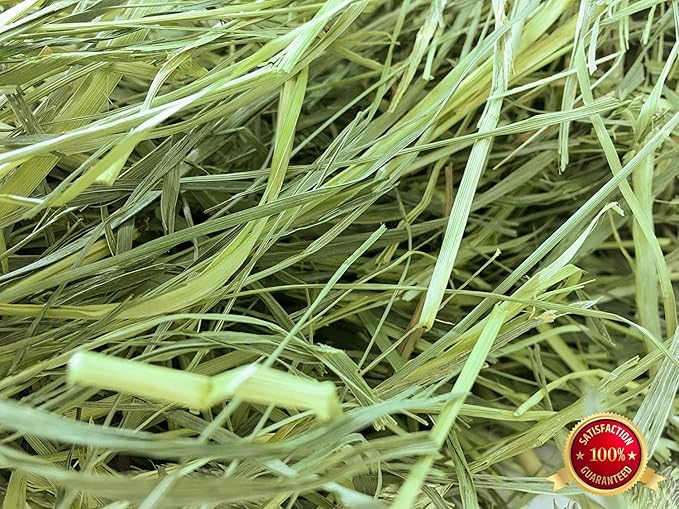 Rabbit Hole Hay - Ultra Premium Medium Timothy Hay for Small Pets - 40 lb Box - Hand-Selected & Farm Fresh