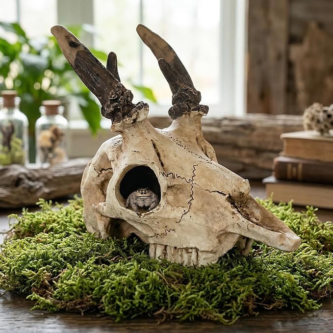 Mini Reptile Hide Cave, Small Terrarium Shelter for Spider, Tarantula, Gecko Tank Accessories, Natural Climbing Decor for Terrarium Habitat, 4 Inch(Elk Skull)