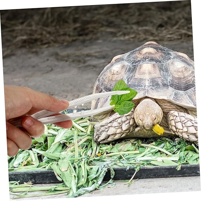 2Pcs Reptile Feeding Tweezers Pet Feeding Clips for Lizards Turtles Frogs Tool for Feeding Terrariums and Aquariums