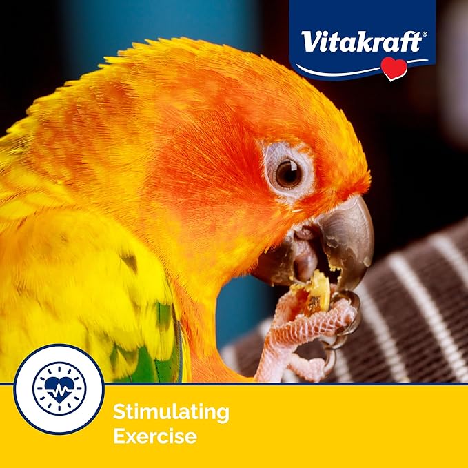 Vitakraft Crunch Sticks Conure Treat - Apple and Orange - Pet Bird Treat Toy (Pack of 4)