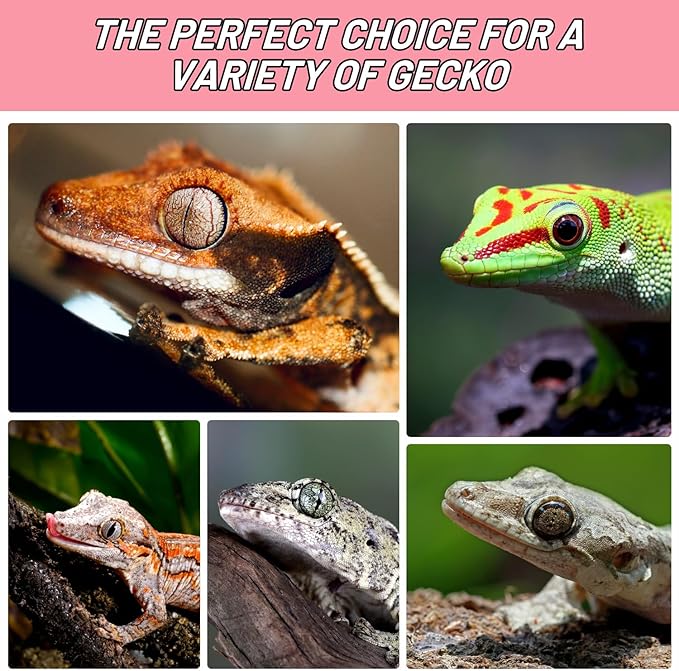 Crested Gecko Food, Fruit Mix Watermelon and Insects Complete Diet Gecko Food 2oz