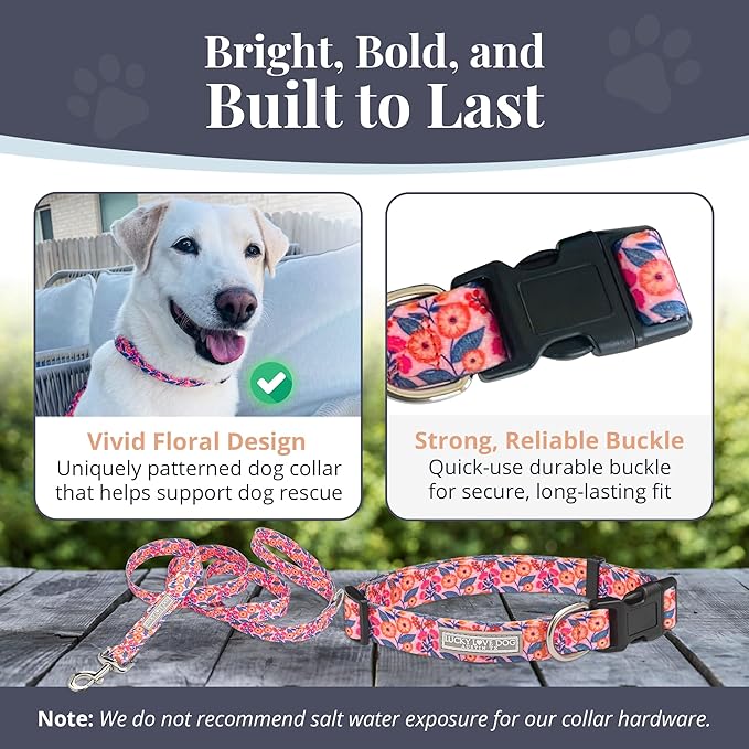 Lucky Love Dog - Easy Click Buckle Dog Collar with Leash Set Combo, Durable & Comfortable for Male & Female Dogs, Pet Collar for Small Dogs, Secure Fit - Floral Rosie Combo, X-Small