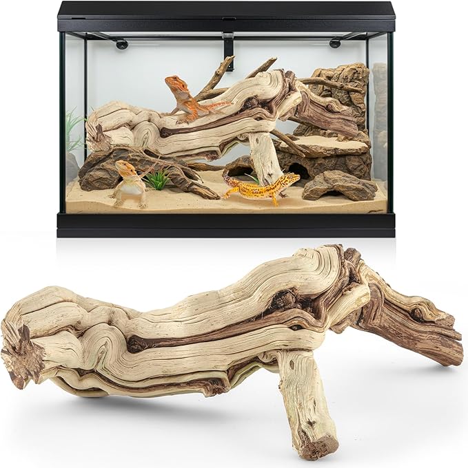Janinka 22-24" Length Large Wood Reptile Branch for Bearded Dragon Driftwood Reptile Climbing Habitat Decoration for Terrarium Tree Trunk Ornament Gecko Frog Chameleon Spider