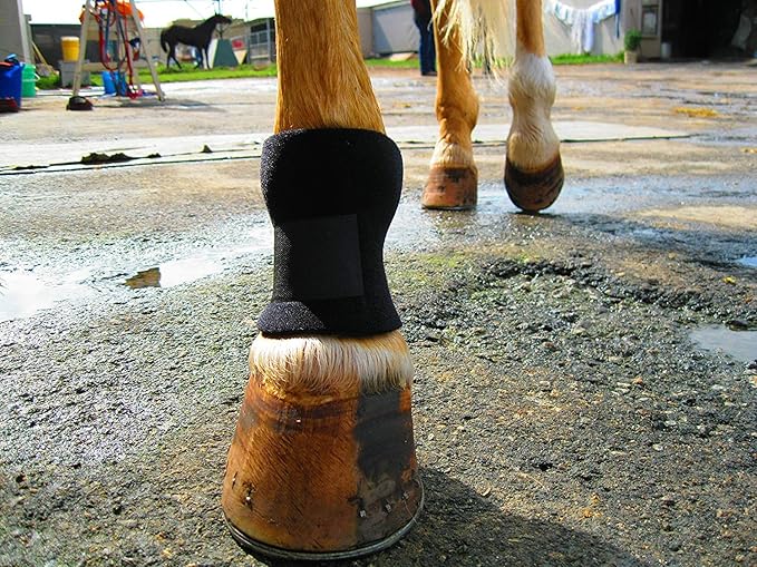 Bedsore Boots for Horses -Equine Leg Protection for Pressure Sores & Ulcers- Neoprene Stall Boots, Heal Wounds Faster, Easy On/Off, Washable & Air-Dry