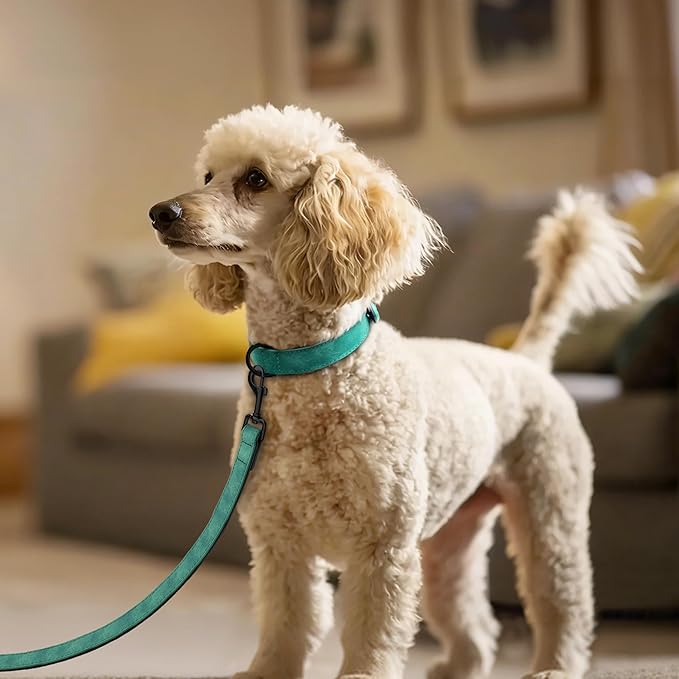 Didog Soft Padded Leather Dog Collar and Leash Set, Adjustable Dog Lead and Collar Set with Metal Buckle, Breathable Pet Collars with 4FT PU Leather Leash for Small Medium Dogs, Green, M