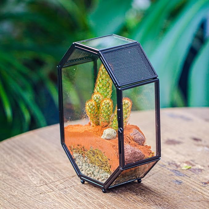 NCYP Mini Vented Glass Terrarium with Vent and Door for Jumping Spiders - Octagon Small Spider Enclosure, Black, Tabletop Decor, 5 x 2.3 x 7 Inches (Terrarium Only)